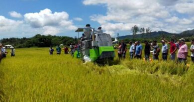 Dia de Campo do arroz em Itajaí