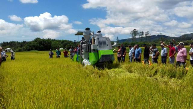 Dia de Campo do arroz em Itajaí